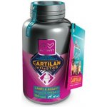 Altervet Cartilan Inflastop 135 g 100 tbl – Zboží Mobilmania