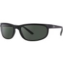 Ray-Ban RB2027 W1847