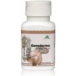 Green World Rejši Plus 60 kapslí – Zbozi.Blesk.cz