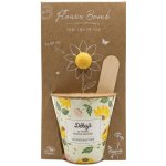 Blossombs Semínková bomba s květináčem - Děkuji - slunečnicový mix – Hledejceny.cz
