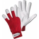 CXS MOSE 100 ks – Zbozi.Blesk.cz