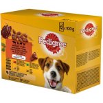 Pedigree Vital protection v želé 4 druhy masa 12 x 100 g – Zbozi.Blesk.cz