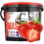 Megabol Whey Mass Gain 3000 g – Zboží Dáma