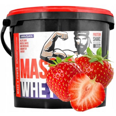 Megabol Whey Mass Gain 3000 g – Zboží Dáma