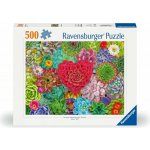 RAVENSBURGER Sukulentní ráj 500 dílků – Hledejceny.cz