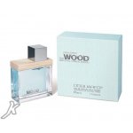 Dsquared2 She Wood Crystal Creek Wood parfémovaná voda dámská 50 ml – Hledejceny.cz