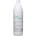 Hessler Cold Wave Fix Ustalovač trvalé 1+1 1000 ml – Sleviste.cz