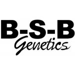 B-S-B Genetics Auto Amnesia Haze semena neobsahují THC 5 ks – Zboží Mobilmania