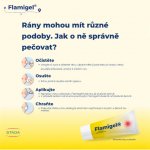 Flamigel Flamigel gel urychlující hojení 50 g – Hledejceny.cz
