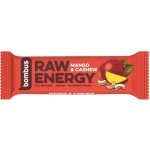 Bombus raw energy arašídy a datle 50 g – Zboží Dáma