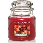 Yankee Candle Mandarin Cranberry 411 g – Zbozi.Blesk.cz