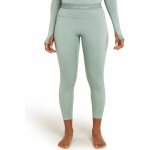 ICEBREAKER Wmns 300 MerinoFine Polar Leggings, Moss – Zboží Dáma