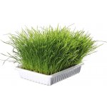 Trixie Jemná tráva 100 g – Zboží Mobilmania