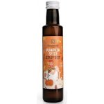 Sonnentor Pumpkin spice sirup bio 250 ml – Zboží Dáma