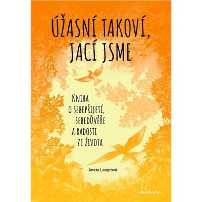 Úžasní takoví, jací jsme: Kniha o sebepřijetí, sebedůvěře a radosti ze života – Hledejceny.cz