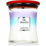 WoodWick Trilogy Calming Retreat 275 g – Sleviste.cz