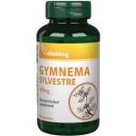 Vitaking Gymnema Sylvestre Gurmar 400 mg 90 tablet – Hledejceny.cz