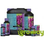 Atami B´Cuzz Blossom Builder Liquid 250 ml – Zboží Dáma