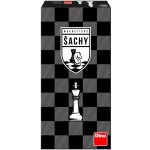 Dino DINO Hra Šachy magnetické (DS16472763) – Zboží Živě