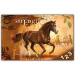 Desky na číslice MFP Kůň – Sleviste.cz