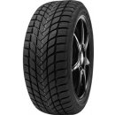 Delinte WD6 225/50 R17 98H