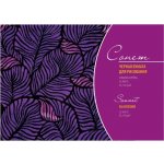 Skicák černý Sonnet DK19169 A5/32listů – Hledejceny.cz