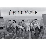 ABYstyle Plakát Friends - Skyscraper – Zboží Dáma