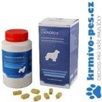 Univit Roboran Chondro 6 pro psy 180 tbl – Sleviste.cz