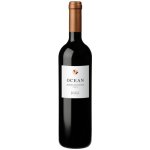 Idaia Ocean Mandilari-Syrah Red suché červené 2016 13,9% 0,75 l (holá láhev) – Hledejceny.cz
