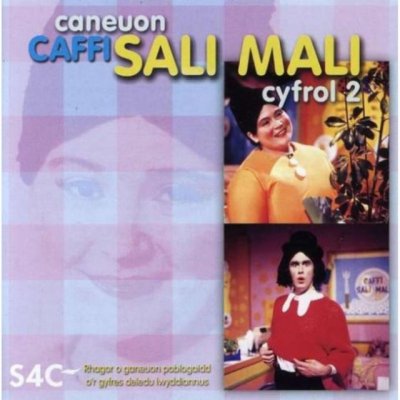 Caneuon Caffi Sali Mali 2 - Sali Mali CD – Zboží Mobilmania