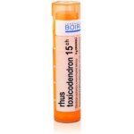 RHUS TOXICODENDRON POR 15CH GRA 4G – Zboží Mobilmania