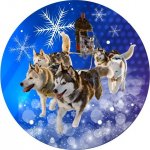 Emblém barevný EM440 psí spřežení Mushing – Hledejceny.cz