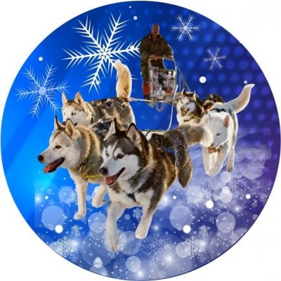 Emblém barevný EM440 psí spřežení Mushing – Hledejceny.cz