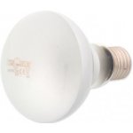 Repti Planet Daylight Frosted 100 W 007-41024 – Zboží Mobilmania