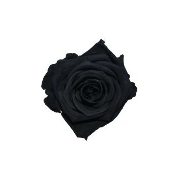 Aneta Black - černá (Stabilizovaná "věčná" růže v keramickém obalu ve tvaru srdce)
