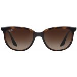 Ray-Ban RB4378 710 13 – Hledejceny.cz