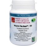 Maciocia Vyživení kořenů T01 60 tablet – Hledejceny.cz
