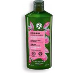 Yves Rocher Šampon na barvené vlasy s malinovým octem 300 ml – Zboží Dáma