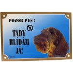Dafiko Tabulka jezevčík drsnosrstý – Hledejceny.cz