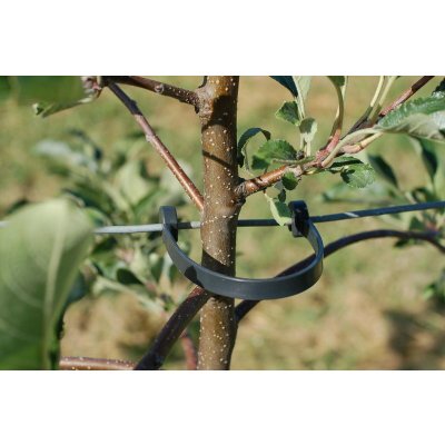 REMA Pásek pro uchycení kmínků REMA STAMMHALTER 125 mm - balení 500 ks – Hledejceny.cz