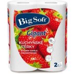 Big Soft Gigant 2 vrstvy kuchyňské papírové utěrky, 2× 80 útržků, 2 role – Zboží Dáma