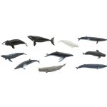 Safari Ltd. Tuba Velryby – Sleviste.cz