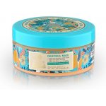 Natura Siberica rakytníková maska pro silně poškozené vlasy 300 ml – Sleviste.cz