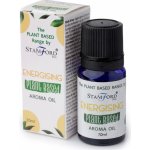 Stamford Rostlinný Aroma Olej Energizující 10 ml – Hledejceny.cz