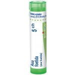 ASA FOETIDA POR 5CH GRA 1X4G – Hledejceny.cz