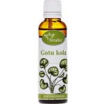 Serafin Gotukola tinktura z bylin 50 ml – Hledejceny.cz