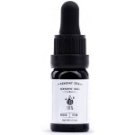 Konopný Táta CBD konopný olej 10% 10 ml – Hledejceny.cz