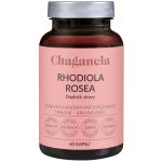 Chaganela Rhodiola Rosea 60 kapslí – Hledejceny.cz