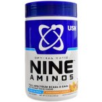 USN Nine Aminos 330 g – Sleviste.cz
