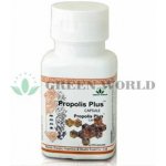 Green world Fen Czjao propolis 60 kapslí – Hledejceny.cz